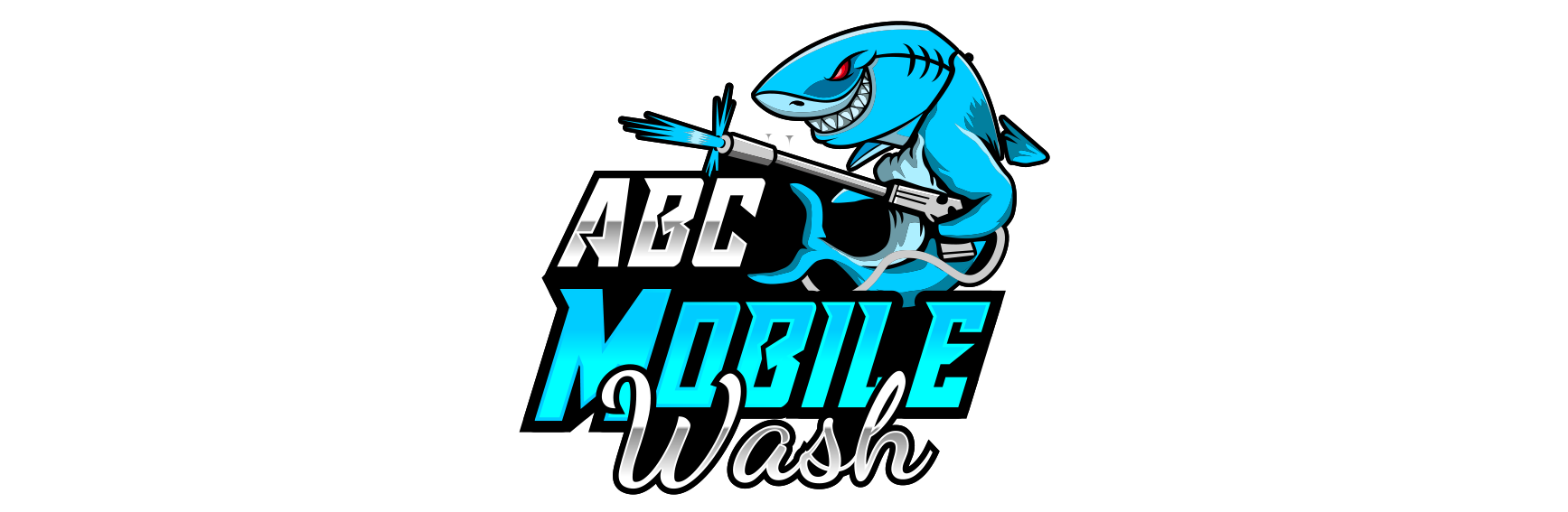 Mobile Washing Services
